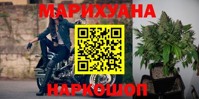 гидра Камышлов