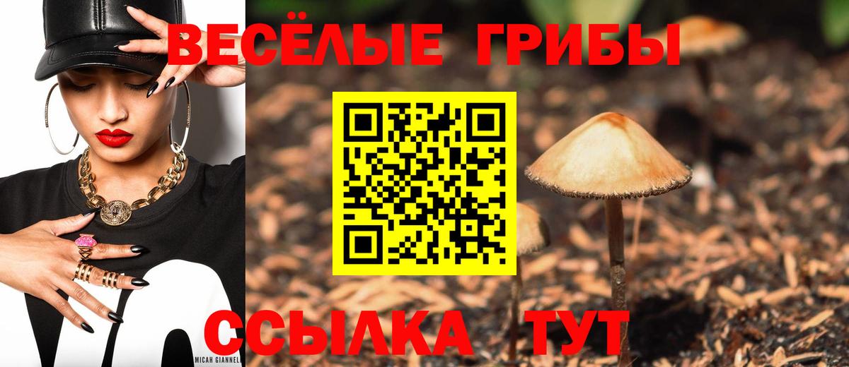 Луга  Псилоцибиновые грибы GOLDEN TEACHER  закладка  Псилоцибиновые грибы Psilocybine cubensis  Вход с VPN 